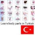 Learn Body Parts in Turkish icon