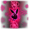 Pink Winter Dream Live Screensaver icon