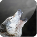 Smoking wolf icon
