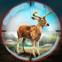 Deer Shooting 2021 icon