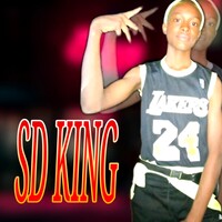 SD KING icon