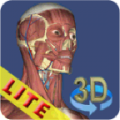 3D Anatomy Lite icon