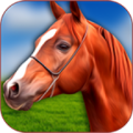 3D Horse Simulator 1.5