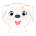Pet Care icon