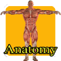 Anatomy 4 kids 107