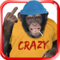 Angry Talking Monkey icon