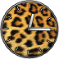 Animal Clocks icon