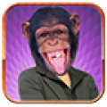 Animal Face Photo Maker icon