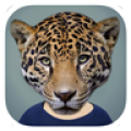 Animal Faces 2.5.3.v7a