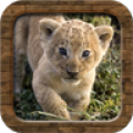 Animal Sounds 1.1.3