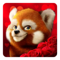 Animal Voyage icon