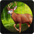 Animals Hunting icon