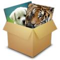 Animals Puzzle Box 7.6