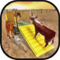 Animals Transporter 1.16