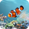 aniPet Aquarium LiveWallpaper icon