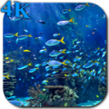 Aquarium 4K Video Wallpaper icon