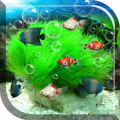 Aquarium Live Wallpaper 9.1