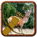 Archer Animal Hunting 2