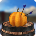 Archery Range 3D icon