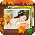 Autumn Frame icon