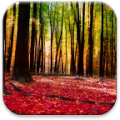 Autumn Landscape Live Wallpaper icon