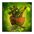 Ayurveda Secrets icon