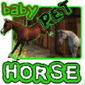 Baby Horse Pet icon