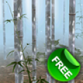 Bamboo Forest 3D Free icon