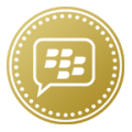 BBM Money icon