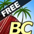 Beach Cricket 2.5.5