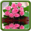 Beautiful Pink Flowers 1.1.0