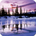 Beautiful Winter Wallpapers 1.0