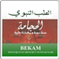 Bekam icon