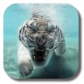 Bengal Tiger 2.9.1