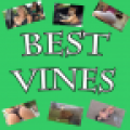 Best Vines Video icon