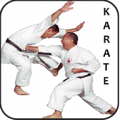 Karate 1.0