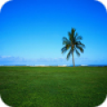 BestNatureWallpapersHD icon