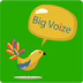 Big Voize icon