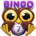 Bingo Crack 2.2