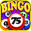 Bingo Craze 3.8.3