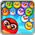 Bird Bubble Shooter icon