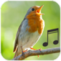 Bird Calls and Sounds 1.3.9