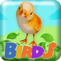 Birds 2048 icon