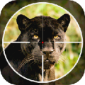 Black Panther Shooter 3D 1.1.0