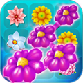 Blossom Blast Deluxe icon