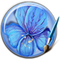 Blue Flower Keyboard icon