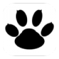 Boldbeast Recorder icon