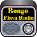 Bongo Flava Radio 1.0