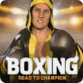 Boxing - Road To Champion 1.70