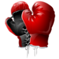 BoxingTimer icon